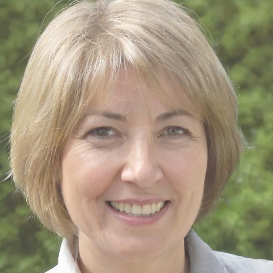 Sophie Martineau, Directrice Stratégique chez luminariventio
